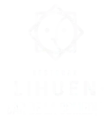 Eventos en vivo